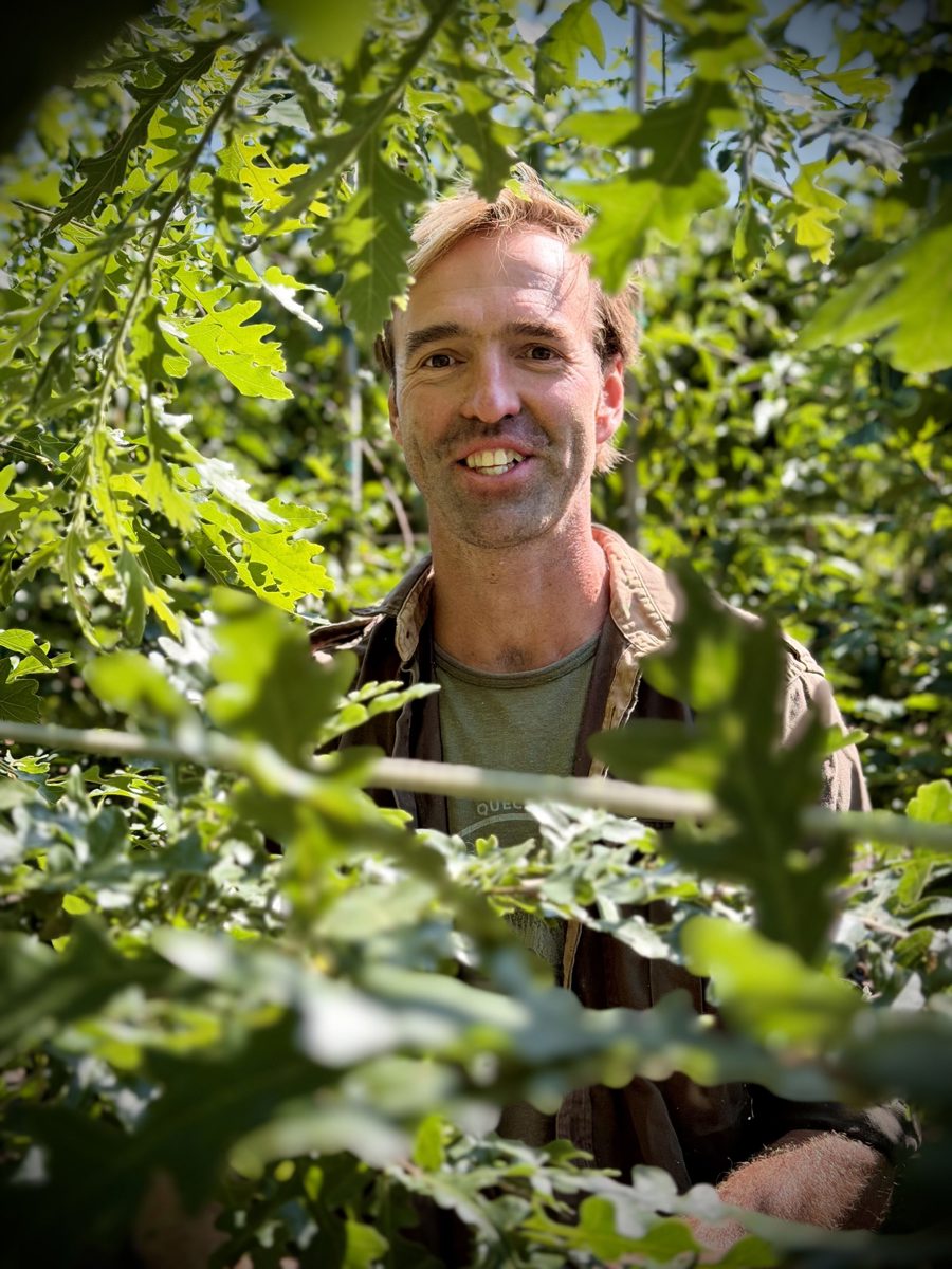 Bestuurder: Bruno Dierick